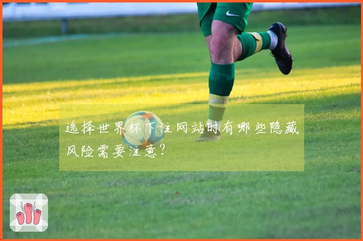 选择世界杯下注网站时有哪些隐藏风险需要注意？