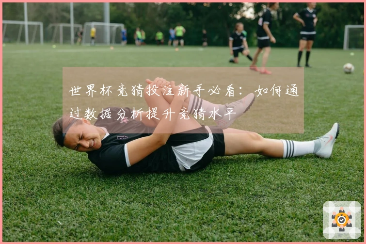 世界杯竞猜投注新手必看：如何通过数据分析提升竞猜水平