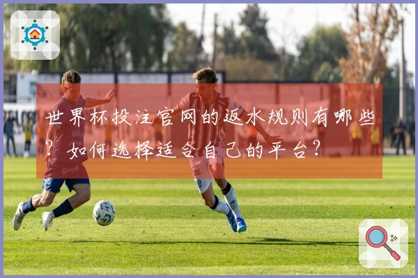 世界杯投注官网的返水规则有哪些？如何选择适合自己的平台？