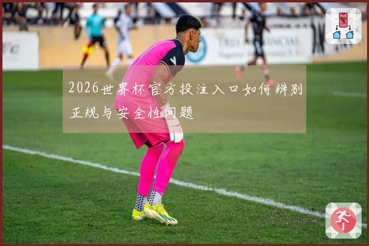 2026世界杯官方投注入口如何辨别正规与安全性问题