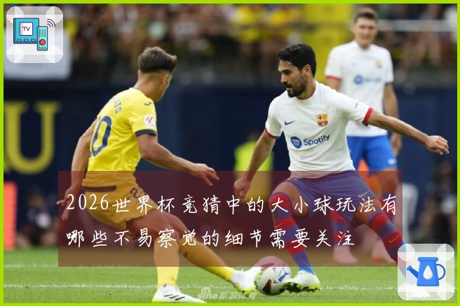 2026世界杯竞猜中的大小球玩法有哪些不易察觉的细节需要关注