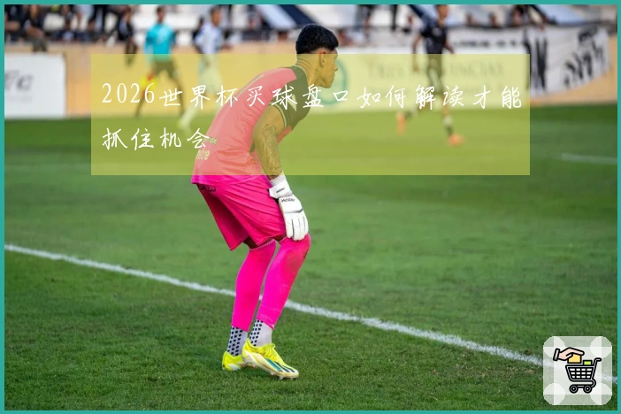 2026世界杯买球盘口如何解读才能抓住机会