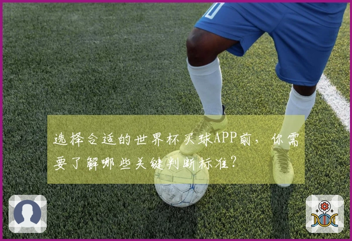 选择合适的世界杯买球APP前，你需要了解哪些关键判断标准？