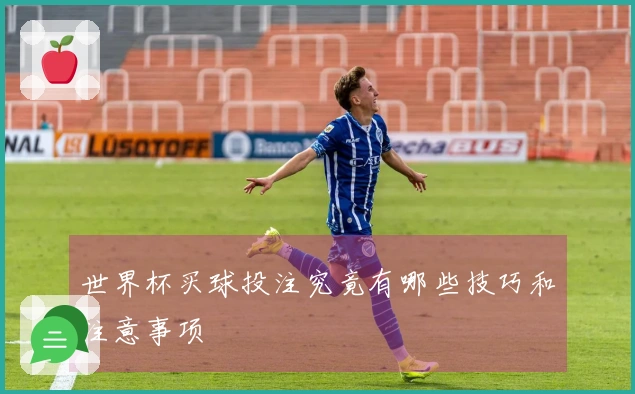 世界杯买球投注究竟有哪些技巧和注意事项