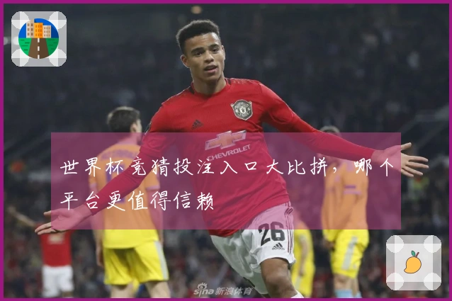 世界杯竞猜投注入口大比拼，哪个平台更值得信赖
