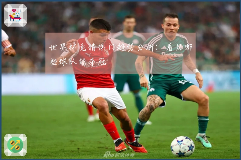 世界杯竞猜热门趋势分析：看好哪些球队能夺冠
