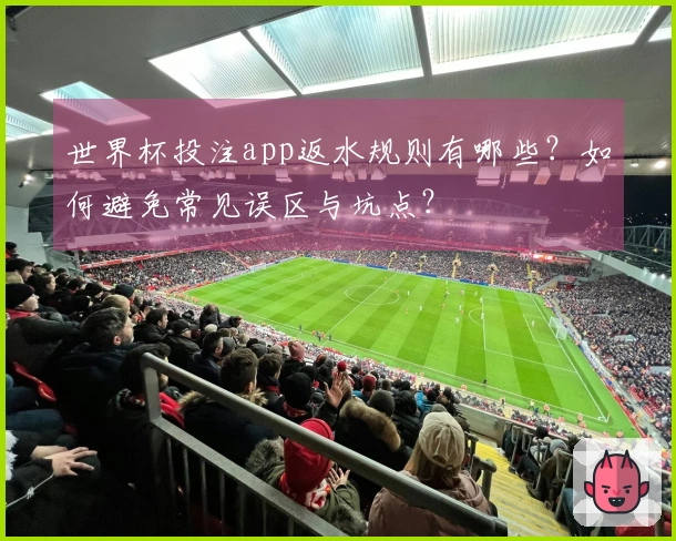 世界杯投注app返水规则有哪些？如何避免常见误区与坑点？