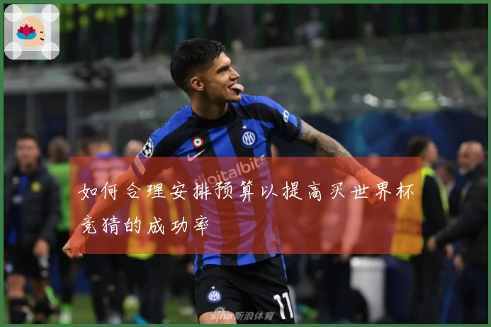 如何合理安排预算以提高买世界杯竞猜的成功率