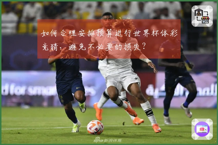 如何合理安排预算进行世界杯体彩竞猜，避免不必要的损失？