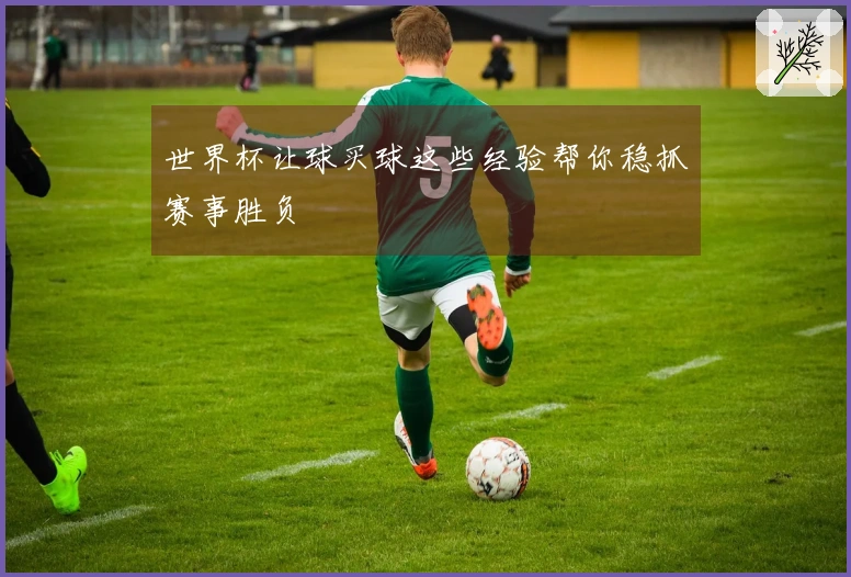 世界杯让球买球这些经验帮你稳抓赛事胜负
