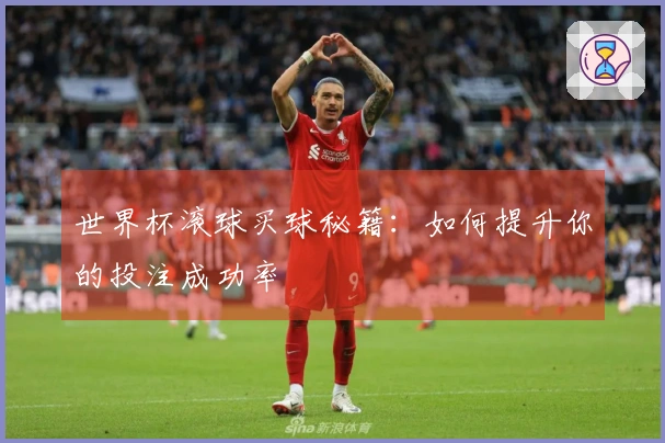 世界杯滚球买球秘籍：如何提升你的投注成功率