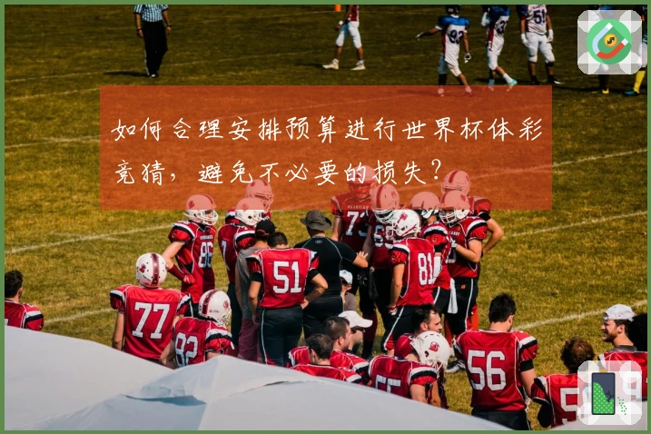 如何合理安排预算进行世界杯体彩竞猜，避免不必要的损失？