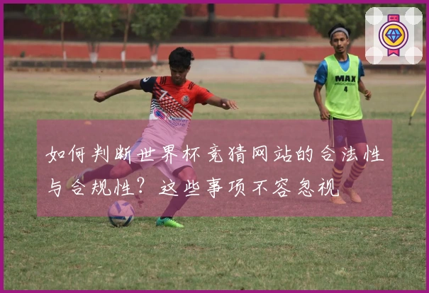 如何判断世界杯竞猜网站的合法性与合规性？这些事项不容忽视