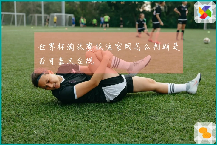 世界杯淘汰赛投注官网怎么判断是否可靠又合规