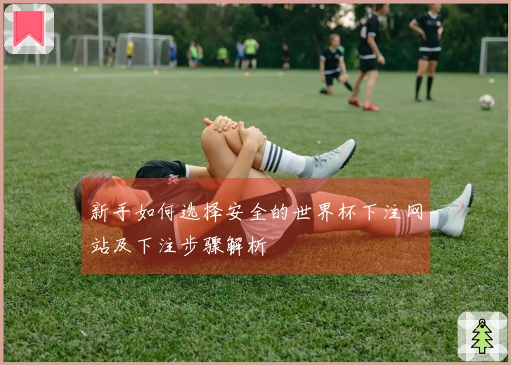 新手如何选择安全的世界杯下注网站及下注步骤解析