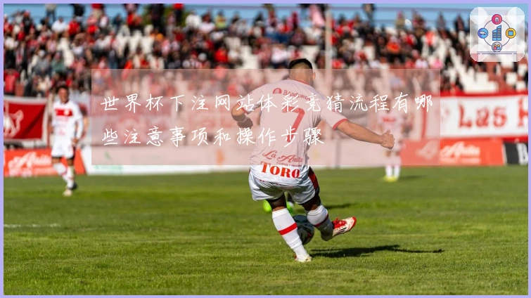 世界杯下注网站体彩竞猜流程有哪些注意事项和操作步骤