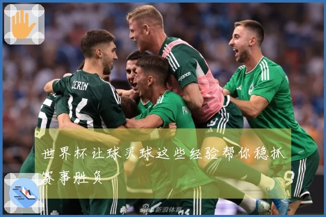 世界杯让球买球这些经验帮你稳抓赛事胜负