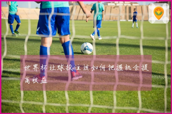 世界杯让球投注该如何把握机会提高收益