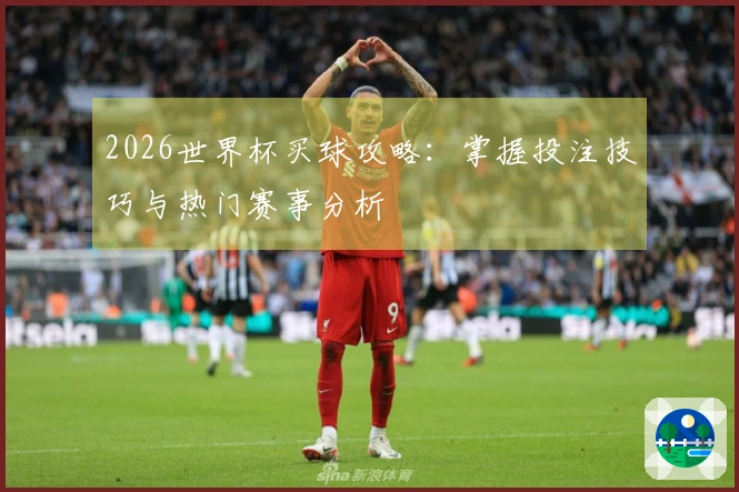 2026世界杯买球攻略：掌握投注技巧与热门赛事分析