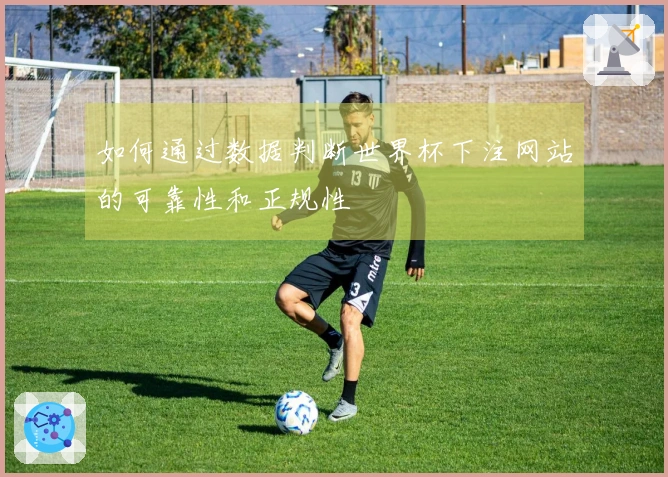 如何通过数据判断世界杯下注网站的可靠性和正规性