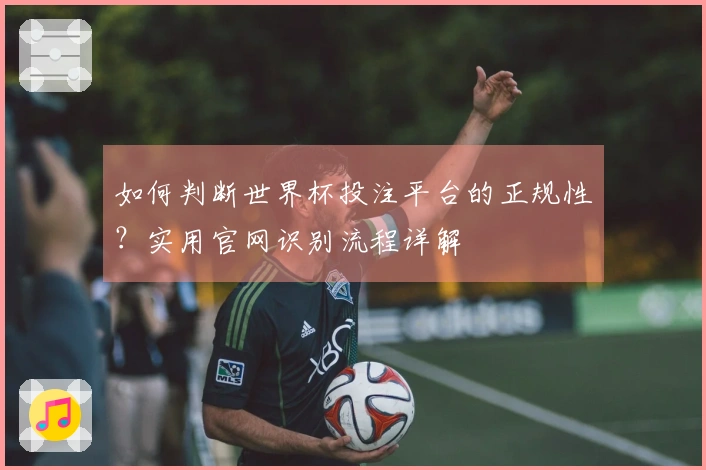 如何判断世界杯投注平台的正规性？实用官网识别流程详解