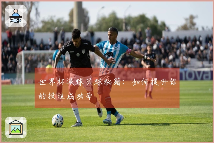 世界杯滚球买球秘籍：如何提升你的投注成功率