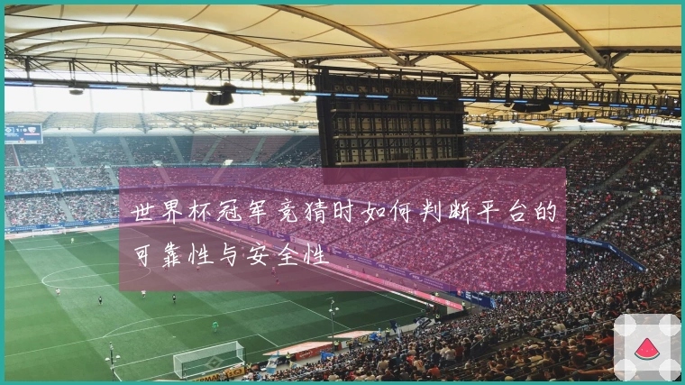 世界杯冠军竞猜时如何判断平台的可靠性与安全性