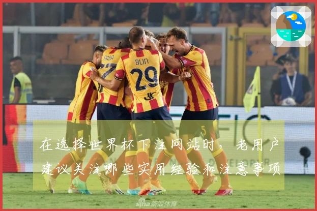在选择世界杯下注网站时，老用户建议关注哪些实用经验和注意事项