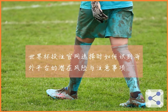 世界杯投注官网选择时如何识别海外平台的潜在风险与注意事项