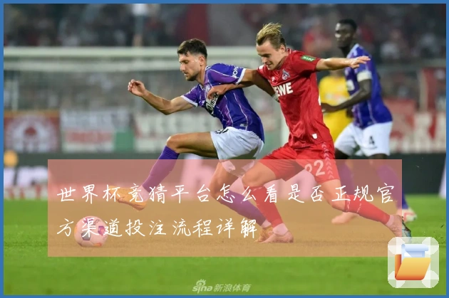 世界杯竞猜平台怎么看是否正规官方渠道投注流程详解