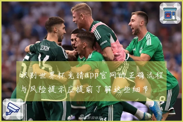 识别世界杯竞猜app官网的正确流程与风险提示应提前了解这些细节