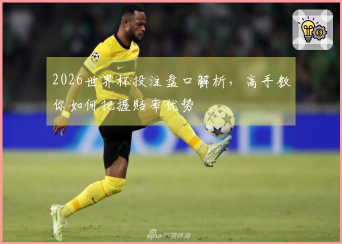 2026世界杯投注盘口解析，高手教你如何把握赔率优势