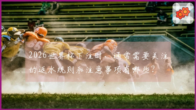 2026世界杯下注时，通常需要关注的返水规则和注意事项有哪些？
