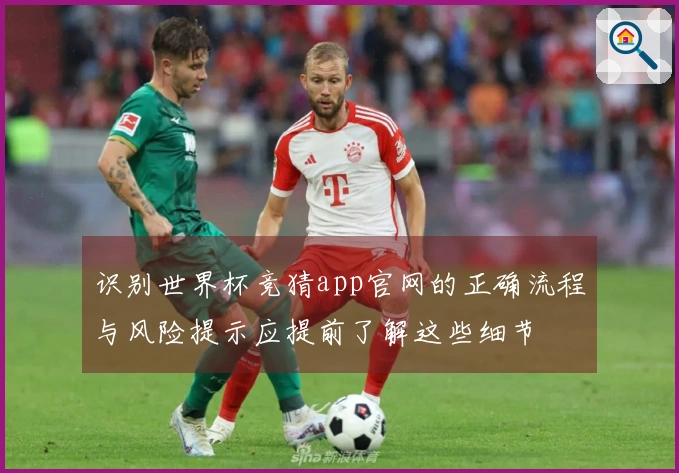 识别世界杯竞猜app官网的正确流程与风险提示应提前了解这些细节