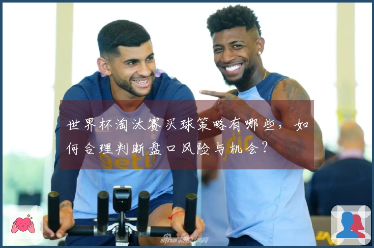 世界杯淘汰赛买球策略有哪些，如何合理判断盘口风险与机会？
