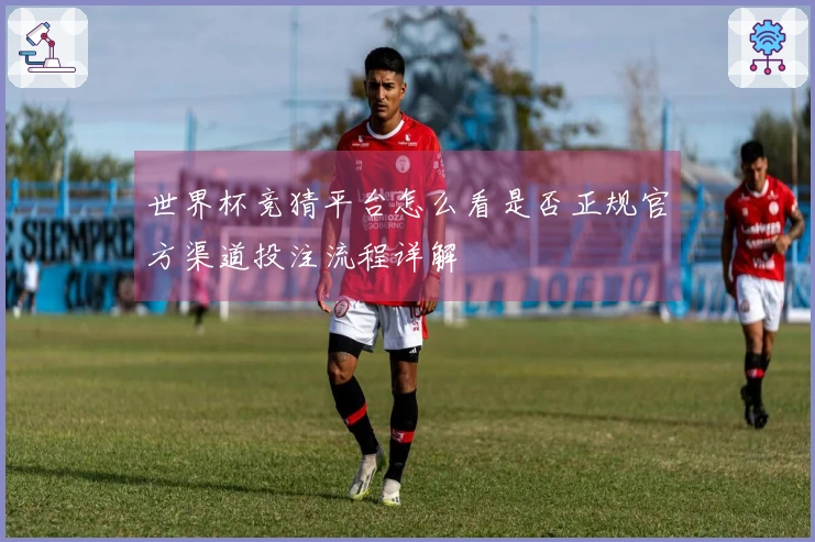 世界杯竞猜平台怎么看是否正规官方渠道投注流程详解
