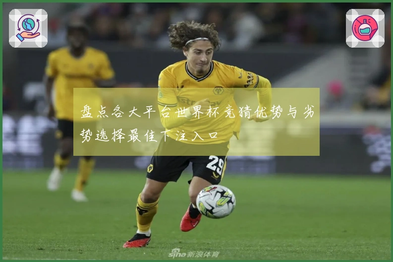 盘点各大平台世界杯竞猜优势与劣势选择最佳下注入口