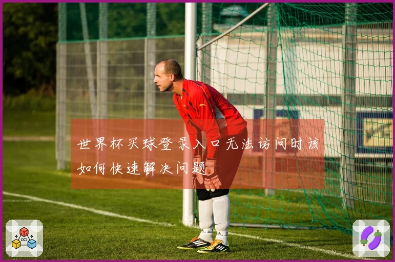 世界杯买球登录入口无法访问时该如何快速解决问题