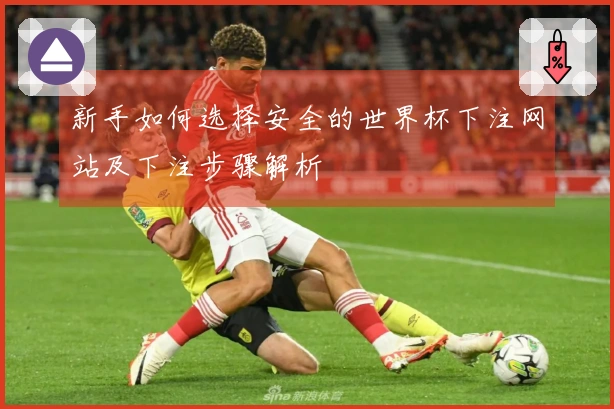 新手如何选择安全的世界杯下注网站及下注步骤解析